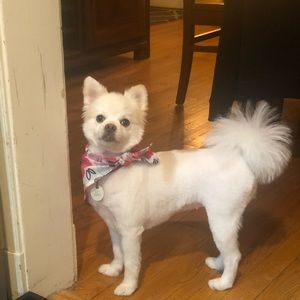 Meet your Posher, Vince